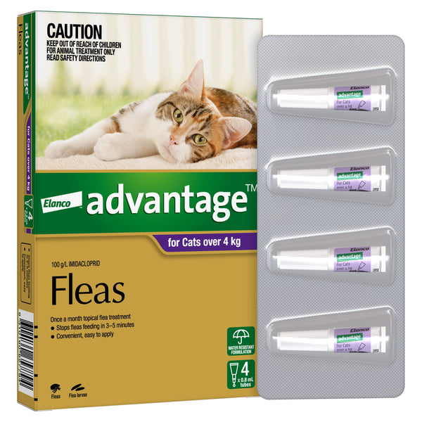 Advantage for cats over 4kg purple