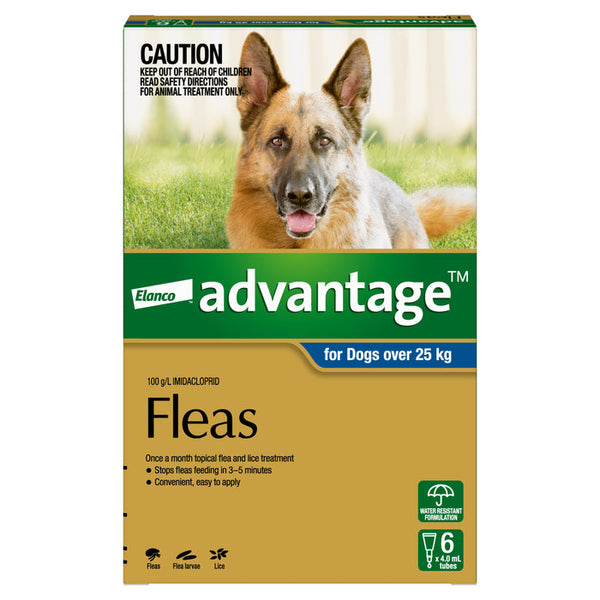Advantage for Extra Large Dogs over 25kg Blue