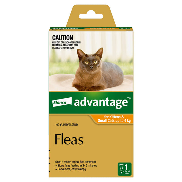Advantage for kittens and small cats up to 4kg orange