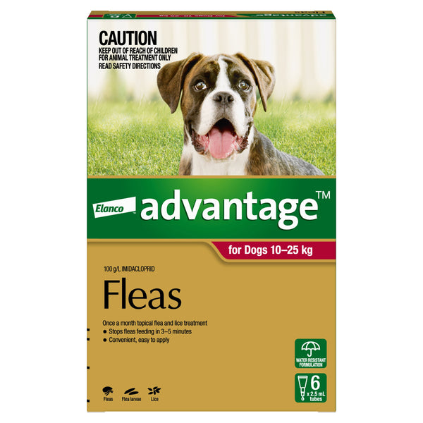 Advantage for Large Dogs 10–25kg Red
