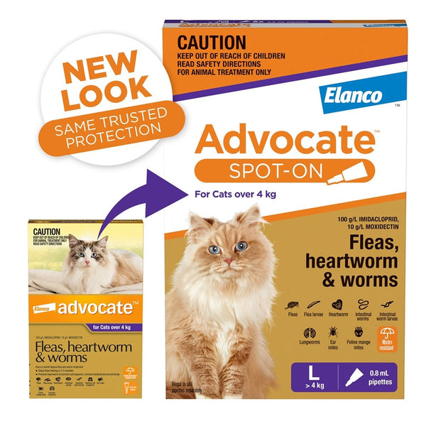Advocate for cats over 4kg purple