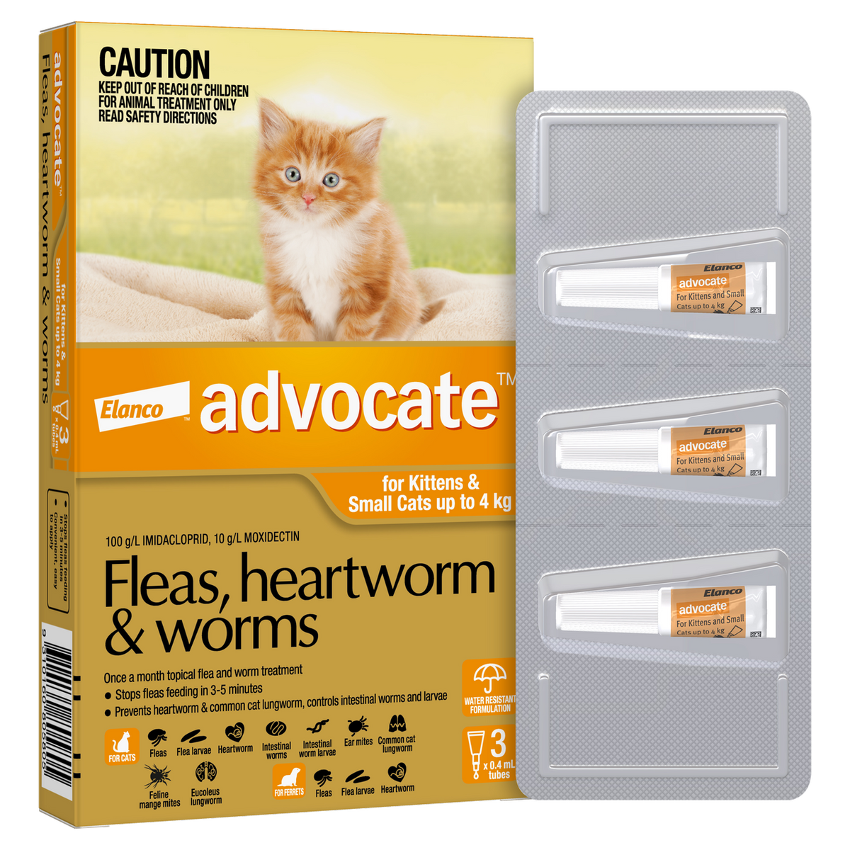 Advocate for kittens and small cats up to 4kg orange
