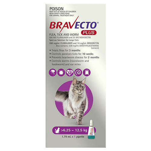 Bravecto Plus for large cats 6.25-12.5kg purple