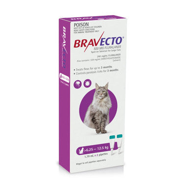 Bravecto Spot-On for large cats 6.25-12.5kg purple