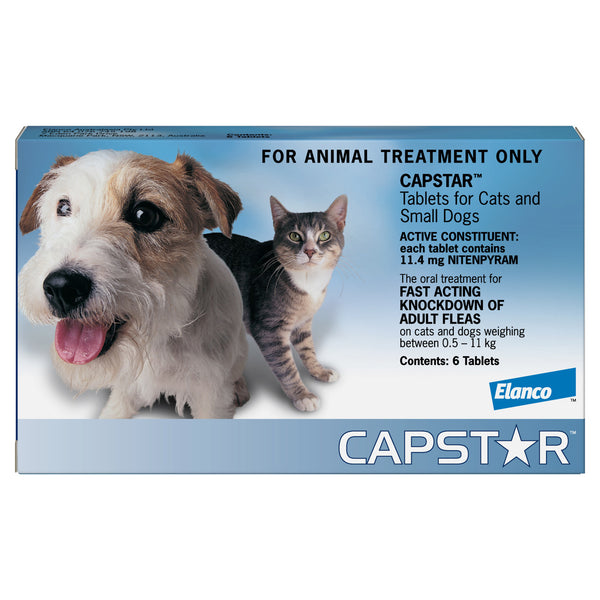 Capstar for Cats and Small Dogs 0.5–11kg Blue