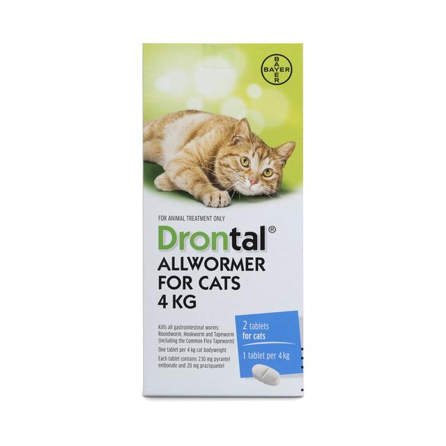 Drontal Allwormer for cats up to 4kg