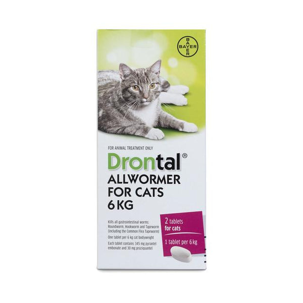 Drontal Allwormer for large cats up to 6kg