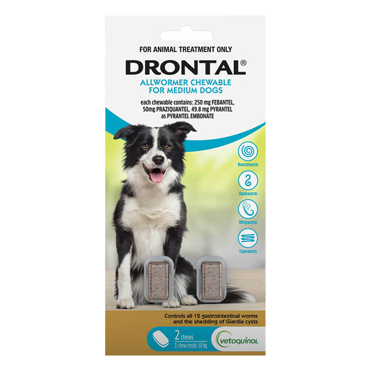 Drontal Allwormer Chewable for Dogs up to 10kg Aqua
