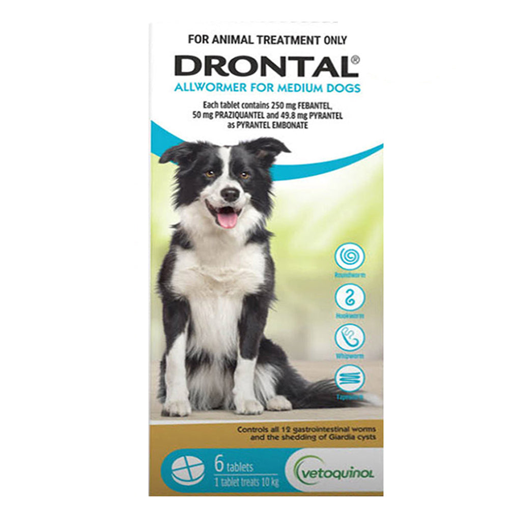Drontal Allwormer Tablets for Dogs up to 10kg Aqua