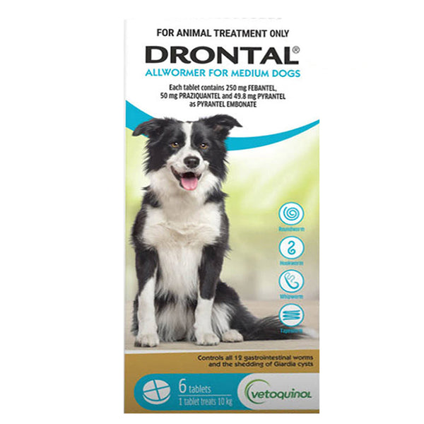 Drontal Allwormer Tablets for Dogs up to 10kg Aqua