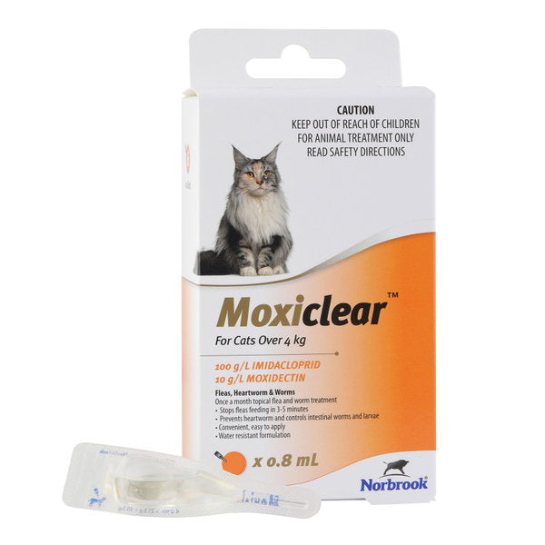 Moxiclear for cats over 4kg orange