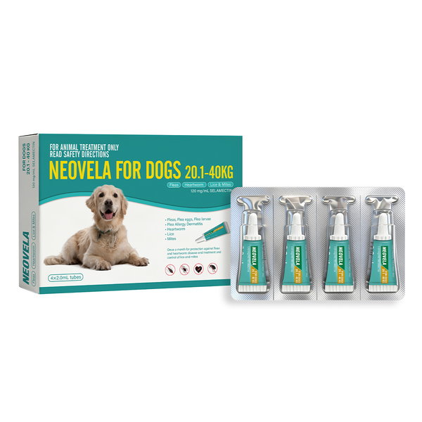 Neovela for Dogs 20.1–40kg Aqua