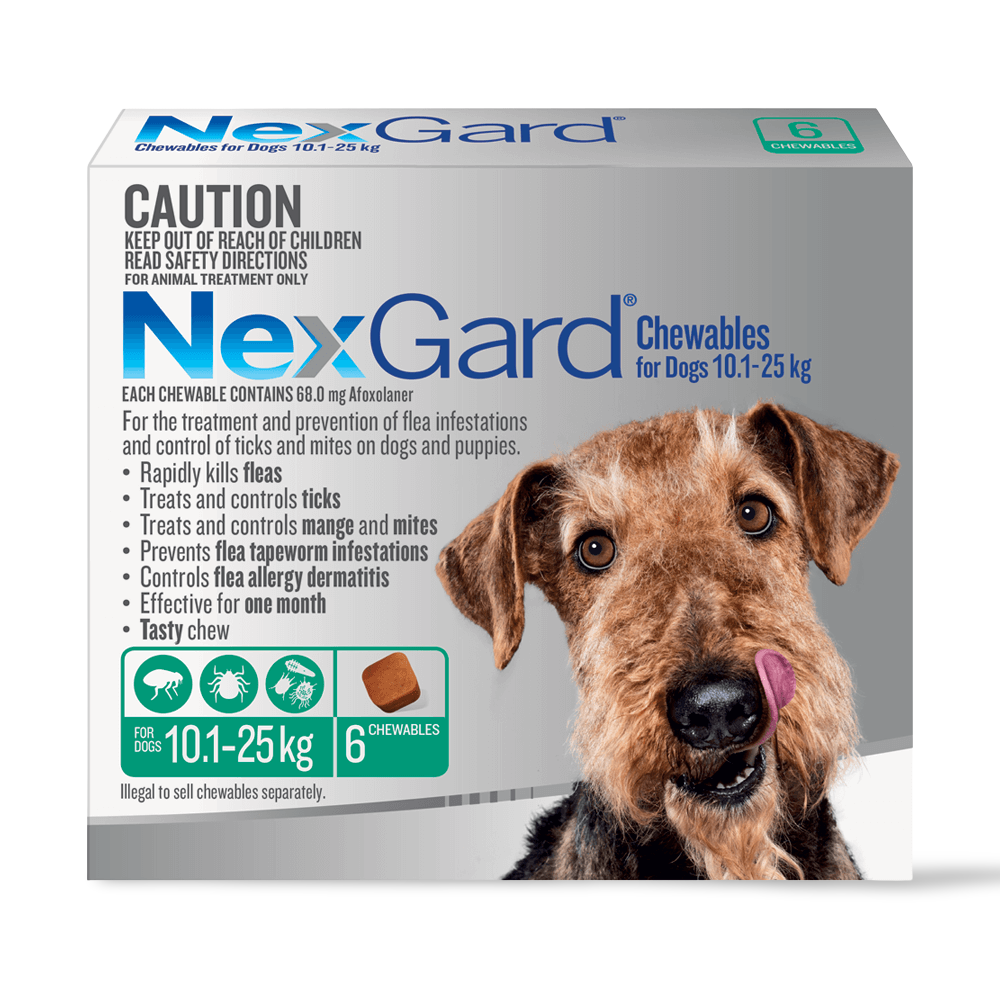 NexGard Chewables for Medium Dogs 10.1–25kg Green