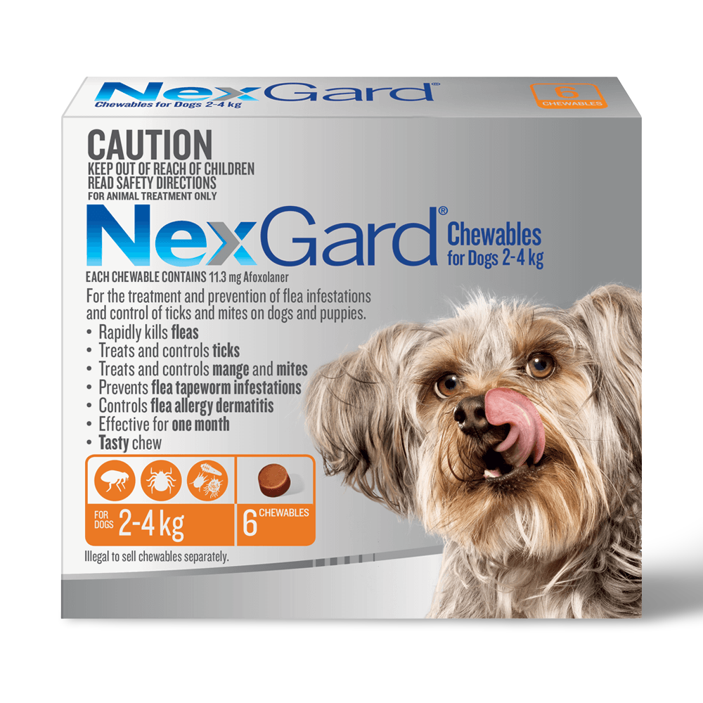NexGard Chewables for Very Small Dogs 2–4kg Orange