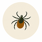 Flea, Tick & Heartworm: One Product Or Three?
